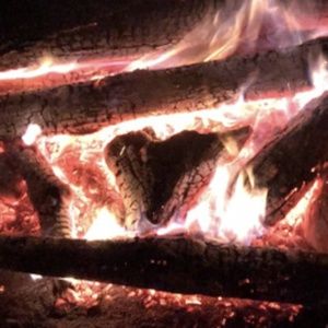 Meet your Posher, Holly